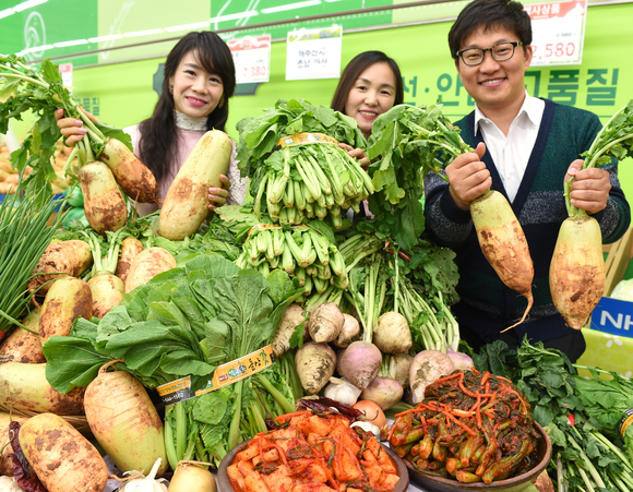 15일 서울시 서처구 농협하나로마트 양재점에서 모델들이 전북부안 천수무, 강화도 순무, 전남여수 돌산갓 등 지역의 특색 있는 김장 재료를 선보이고 있다. ⓒ ㈜농협유통