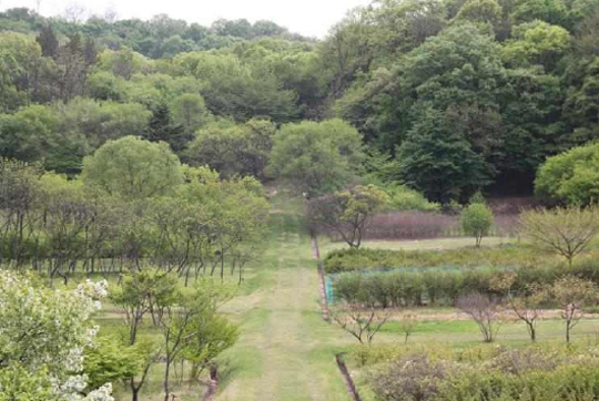 동구릉 내 양묘장(문화재청 제공)