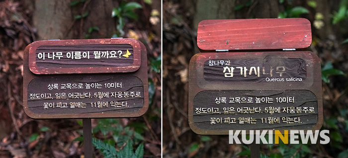 제주곶자왈도립공원 산책로에는 이곳이 교육도시와 접해 있음을 상기시키는 다양한 팻말들이 있다. 나무에 대한 설명이 있고 가려진 부분을 젖히면 나무 이름이 나타나는 이 형식의 팻말은 나무이름을 기억하는데 꽤 도움이 된다.