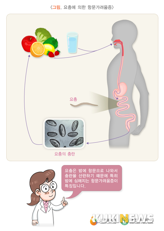 그림= 보건복지부 국민건강포탈