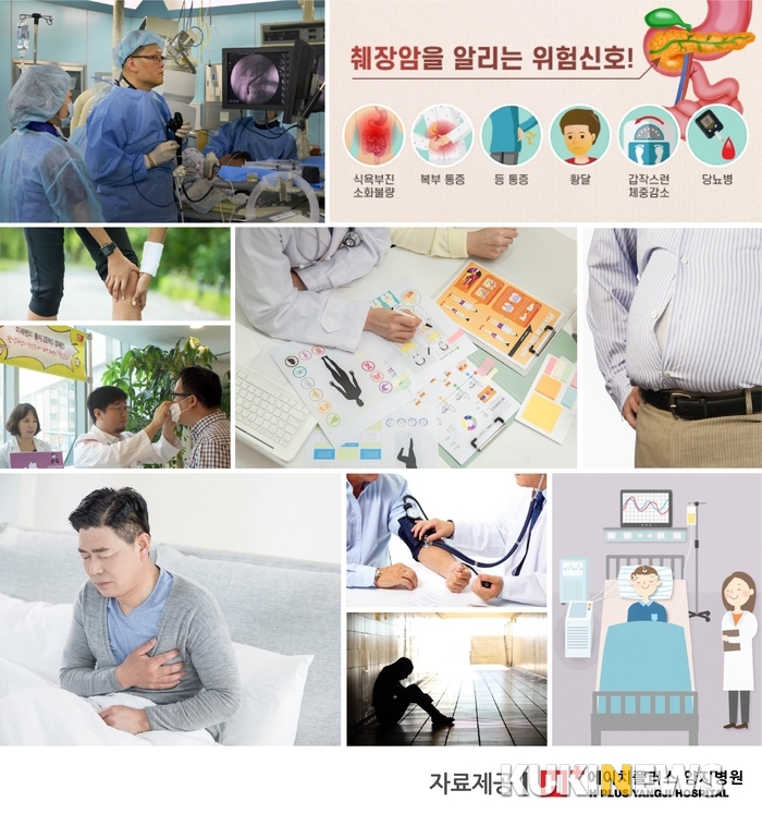 그래픽= 양지병원 제공
