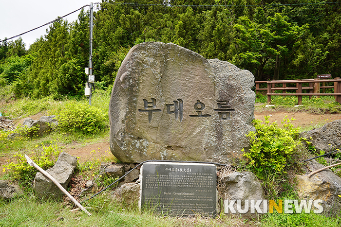 부대오름은 해발 468미터, 실제 높이 110미터의 ㄷ자형 오름이며 인공조림된 삼나무 숲과 자연림이 울창한 오름이다.