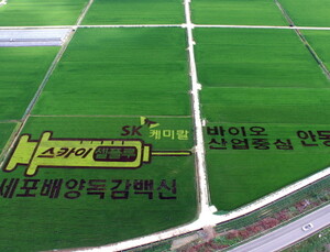 SK케미칼, 독감백신 개발 기념 안동시와 손잡고 ‘벼농사’ 활동