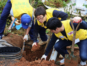 광동제약 임직원, ‘무료 집수리로 나눔 실천’