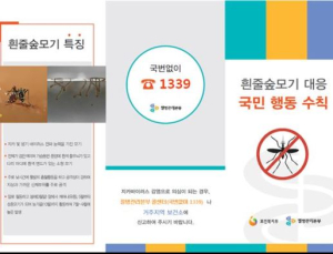 중앙부처·지자체 “지카바이러스 유입 차단해 원천 제거할 것”
