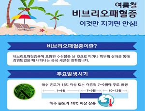 예년보다 빠른 어패류 비브리오패혈증 안전 주의