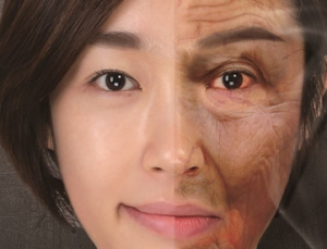 담뱃갑 경고그림, 12월 23일부터 최초 시행