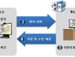 복지부-지자체, 완도·장성·옹도군에 원격의료 확대
