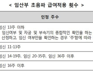 10월1일부터 임산부 등 초음파 검사 건강보험 적용 확대