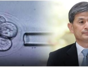 황우석 박사 배아줄기세포주 정식 등록된다