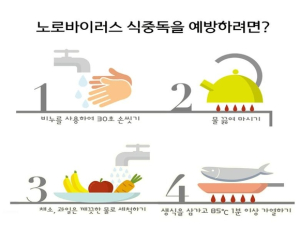 겨울철, 노로바이러스 식중독 주의하세요