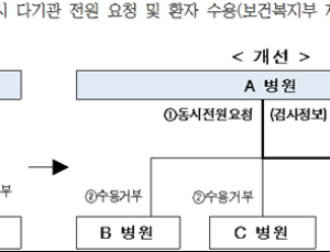 정부 응급의료 제도 개선…권역응급의료센터 책임 치료 도입