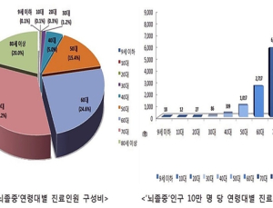 ‘뇌졸중’ 환자 5명 중 4명은 60세 이상