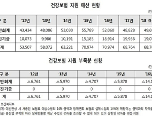 지난해 건강보험 국고지원 부족분 1조4000억원으로 급증