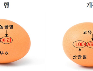 정부 달걀 난각표시 위반 처벌기준 강화