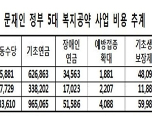 [2017 국감] 文 정부 5대 복지공약에 지자체 부담 5년간 40조 7천억원