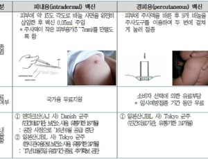 오늘부터 결핵예방 ‘경피용 BCG백신 무료접종’ 받으세요