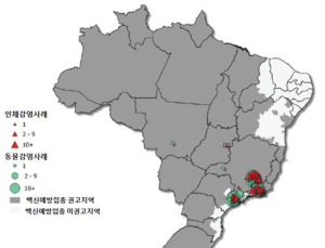 브라질 ‘황열’ 환자 발생 증가, 보건당국 “예방접종 실시” 당부