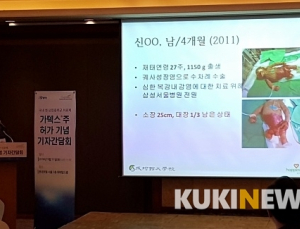 매일 갈비로 외식하는 비용으로 영양제 맞는 ‘단장증후군’