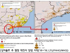 브라질, 황열 유행시기…5월까지 환자 발생 증가