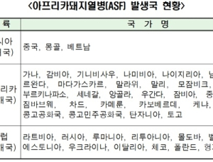 전세계 45개국서 '아프리카돼지열병', 소시지·육포 반입 금지