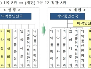 식약처-행안부, 마약류 안전관리 전담 ‘마약안전기획관’ 신설