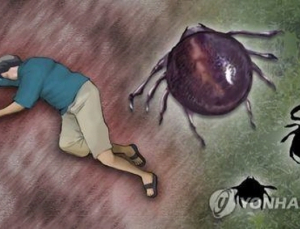 강원도 첫 SFTS 환자 발생… “야외활동 시 주의 당부”