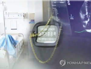 뇌사자 장기기증 건수 4년만에 500건 이하 ‘뚝’