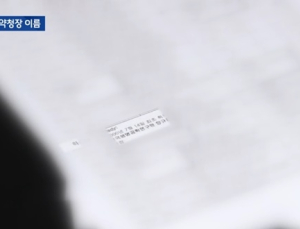 메디톡스 보톡스 허가 당시 주주명부서 식약청장 이름 나와