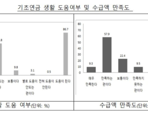 기초연금 인상, 어르신 소득과 지출 증가에 긍정적 영향