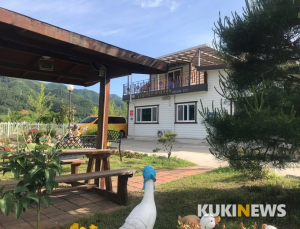[르포] “용변 뒤처리에 4명의 요양사”…치매 노인의 보약 같은 친구들