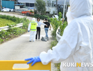 의사협회 “아프리카돼지열병, 인체 감염된 바 없어 무해하다”