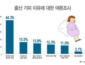 출산 기피 이유 '육아 경제 부담' 때문... 아동수당, '저출산 도움 안돼' 인식 높아