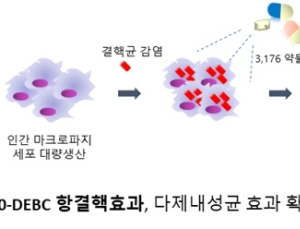 '내성결핵' 치료길 열리나…줄기세포 활용한 신약후보물질 발굴