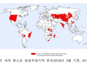 사라진 줄 알았는데…중국서 발생한  ‘흑사병’은
