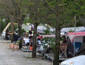 홍천 캠핑장 확진자 근무지, 과거 집단감염 발생했던 '강남 V빌딩'으로 확인