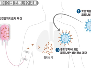 녹십자 ‘GC5131’ 코로나19 혈장분획치료제  2상 임상시험 승인