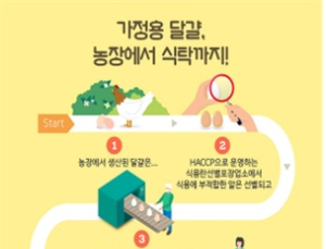 내달부터 달걀 선별포장 업소에 HACCP 인증 의무 적용