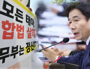 [2020 국감] 여성계·종교계 모두 반대 ‘임신중단 허용법’, 실효성 의문