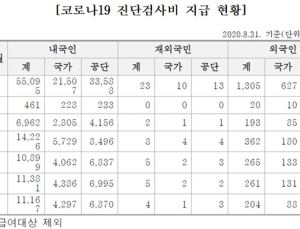 올해 3월~8월 코로나19 진단비 564억 발생…대부분 내국인에 쓰여