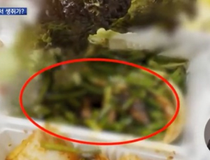 배달족발서 '쥐' 나와…CCTV로 보니 천장서 반찬통으로 떨어져