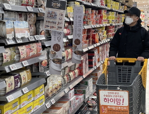 농심·팔도 유럽 수출 라면서 유해물질 검출