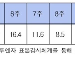 인플루엔자 유행주의보 해제…작년 대비 종료시점 12주 빨라