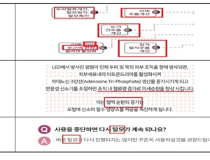 공산품인데 '주름개선' 등 의학적 효능 광고한 LED제품 1345건 적발