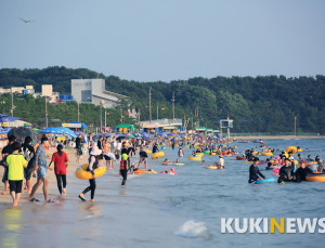 올해 비브리오패혈증 환자 37명 발생…'기저질환자' 5명 사망