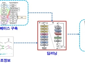 AI로 신약 후보물질 독성예측한다…기술 개발 본격 추진