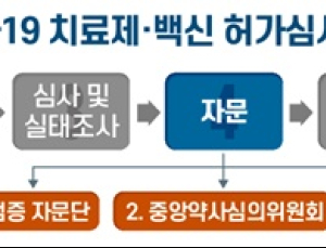 셀트리온 '렉키로나주' 검증자문단 회의 계획…허가심사 객관성 확보