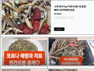 한약재도 아닌 식용 불가 '고춧대 차' 코로나 예방 효과 광고한 한의사 고발