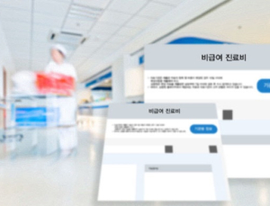 사망 환자 실손보험 청구도 불가…‘본인부담상한제’ 탓