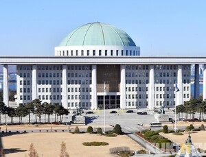 10년째 의료영리화 논쟁… '서발법' 통과되나
